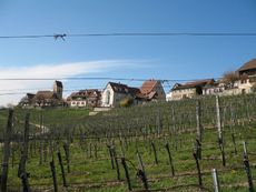 Weil am Rhein Ötlingen 001.jpg